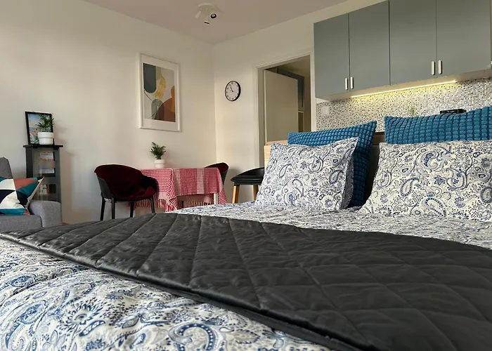 New Studio-free Parking Evcs 公寓