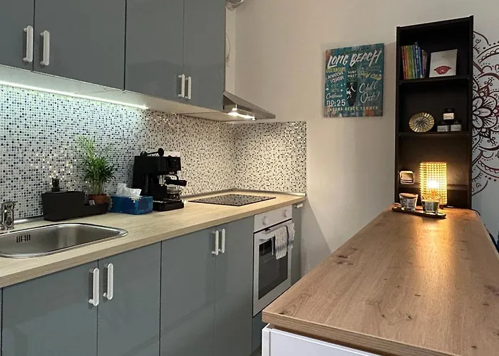 New Studio-free Parking Evcs 公寓