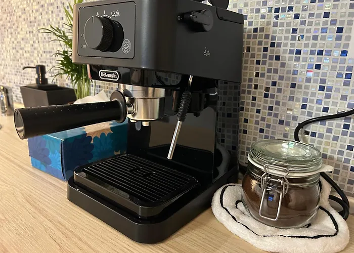 New Studio-free Parking Evcs 公寓 *